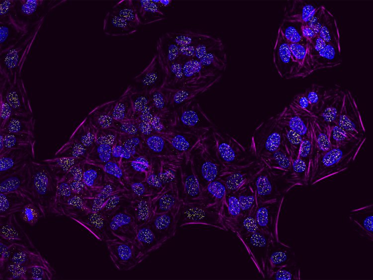 microscopic image of protein interactions